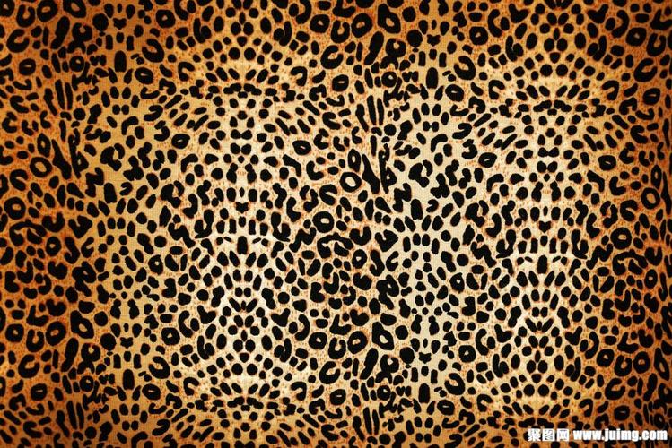 豹纹底纹背景