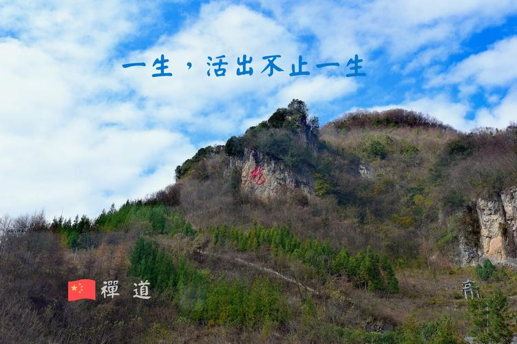 禅道- 图虫