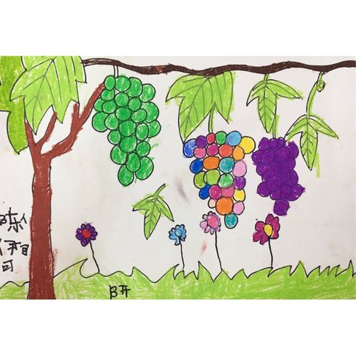 伊可画了一串七彩葡萄.