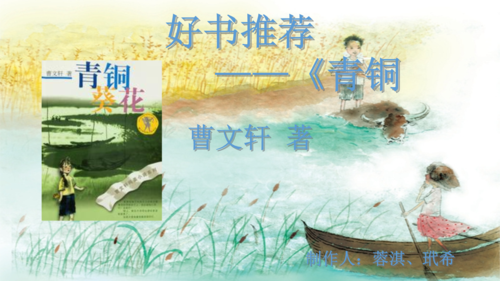 好书推荐——《青铜葵花》.pptx