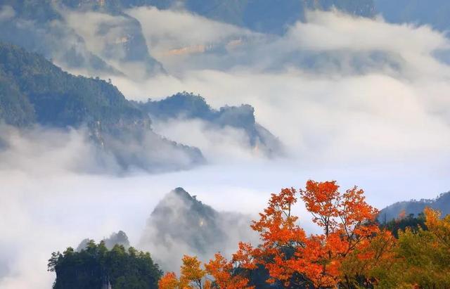 四川南江光雾山秋景如诗彩林如画