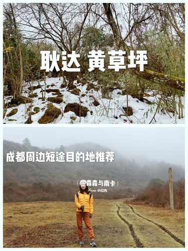 黄草坪位于汶川县耿达幸福村,是卧龙中华大熊猫苑神树坪基地的延展