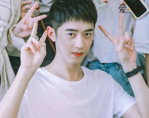 梁靖康今年多少岁起底其个人资料他有女朋友了吗