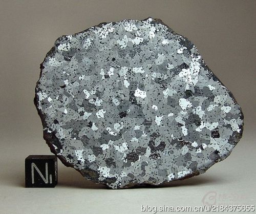 [转载]中铁陨石(石铁陨石)〔高清组图