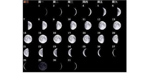 求小学生的暑期作业 :一个月的月相图