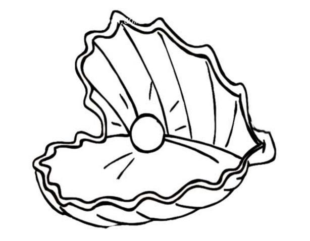 珍珠贝壳简笔画 海洋生物简笔画 - 9252儿童网