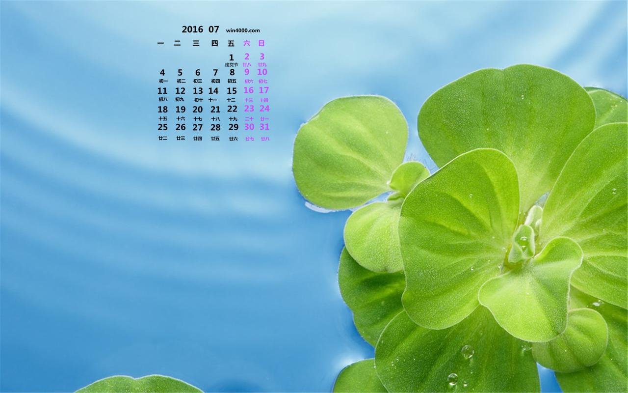 2016年7月日历荷叶图片桌面壁纸