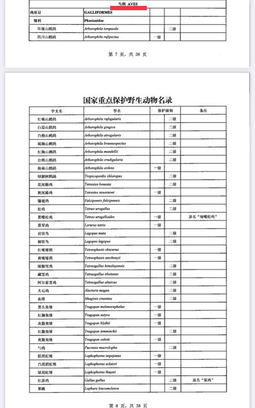 蓝喉歌鸲等涉嫌违法|新版《国家重点保护野生动物名录》颁布
