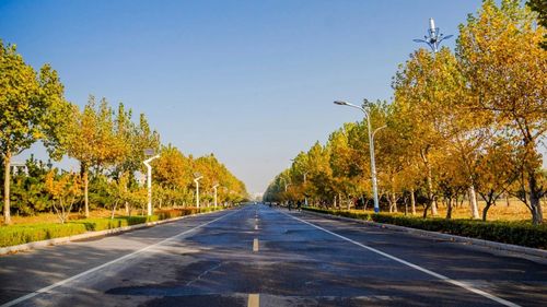 一到秋天,临沂大学就美得不像话!