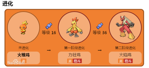 口袋妖怪漆黑的魅影小火鸟的进化是谁