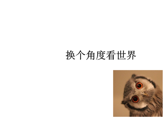 换个角度看世界换个角度看世界幻灯片.ppt