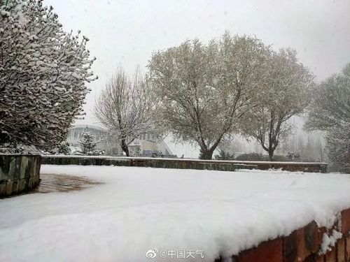 4月最后一天,河北竟然下雪了!