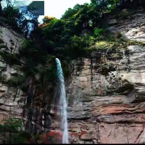 开发热土 | 绥江:水的世界,竹的海洋,鸟的乐园,云的故乡 ,您的康养之