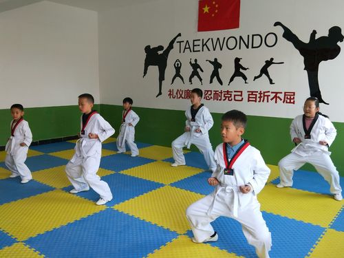 它叫"马步冲拳"