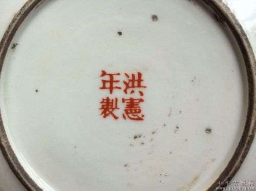 民国粉彩花卉盘(洪宪年制)