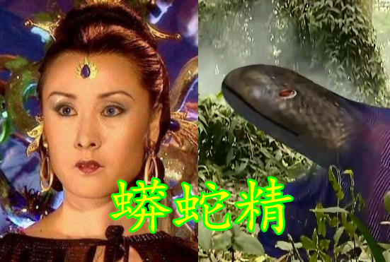 当初《西游记》中的蟒蛇精,原本以为是特效,看清实物