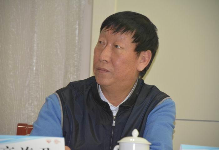 马锋  