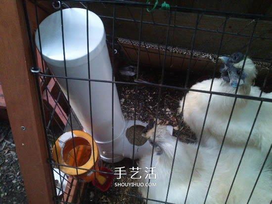 自制t型管道饲料器教程 鸡的喂食器做法图解