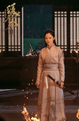 辛芷蕾《绣春刀-修罗战场》饰演丁白缨