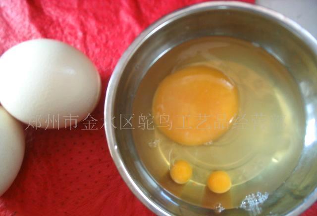 供应鸵鸟蛋,新鲜鸵鸟蛋,种蛋鸵鸟蛋,绿色食品鸵鸟蛋,鸵鸟蛋