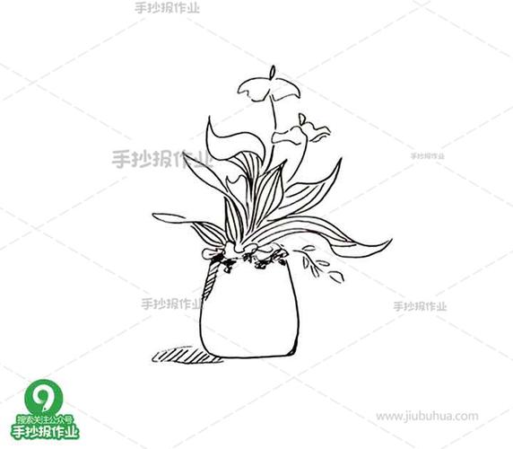 中式插花简笔画