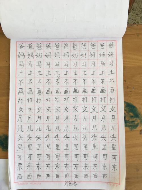 寒假语文练字优秀作业展示