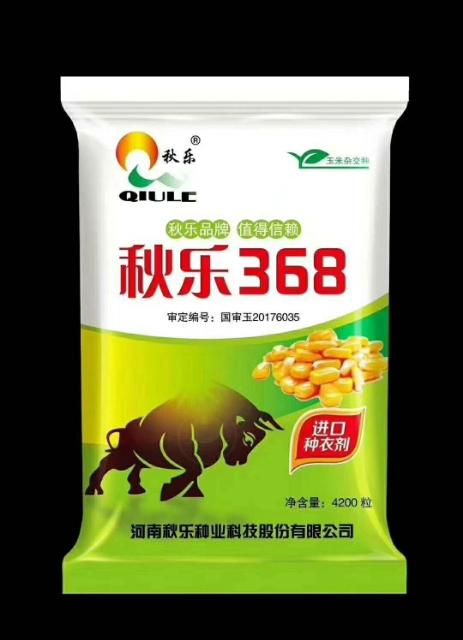 玉米新品种"巨无霸"秋乐368震撼来袭【部分春播】