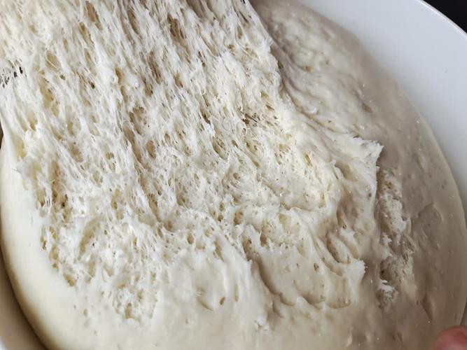 步骤十:面团发酵至这样的蜂窝状就发好了.