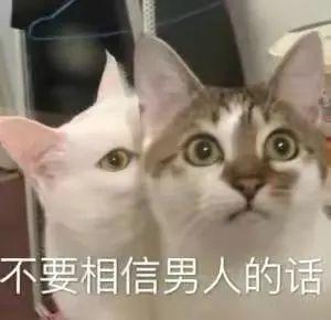 表情包不要相信男人的话
