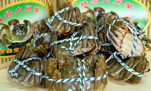 九龙口大闸蟹