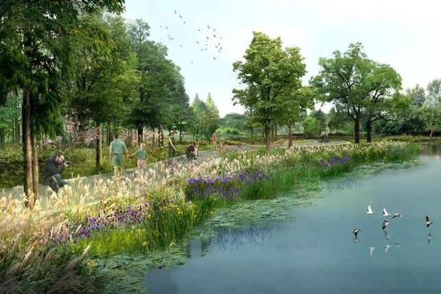 湿地公园,公园,北京,沙河湿地公园,昌平区,成昌平,昌平