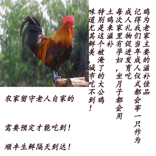 丽水找学生鸡 小公主Φ319337670_rsu