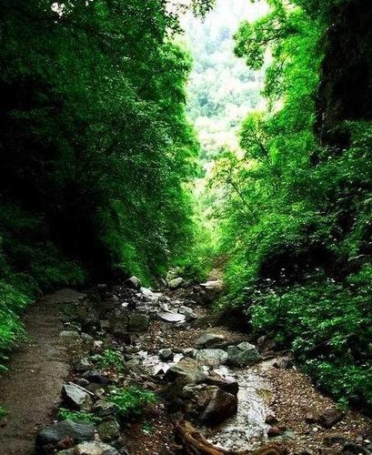 吐鲁沟地貌构造奇特,沟中巨石崔嵬,林木葱茏,峰峦叠翠,主景区蜿蜒约