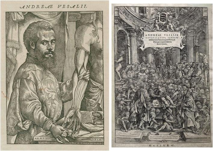 woodcut of the only known firsthand likeness of andreas vesalius