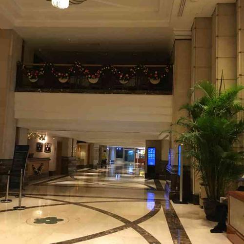 南京金丝利喜来登酒店-"喜来登,有spg梗的我还是在.