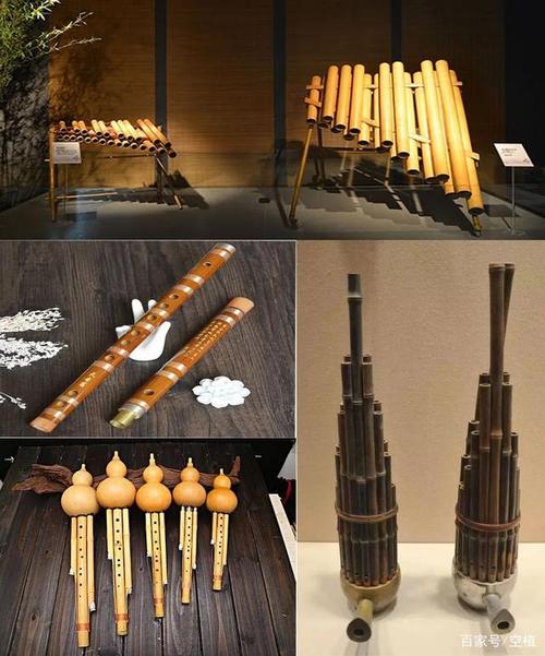 宁可食无肉,不可居无竹(竹子的一生)