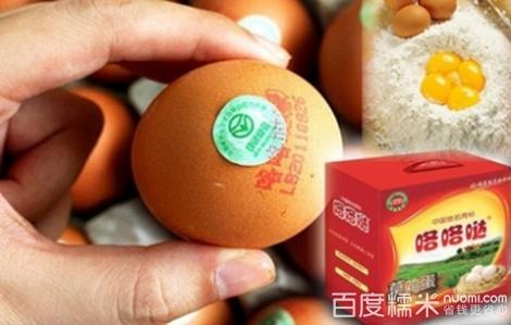 我国将出台无公害鸡蛋国家标准