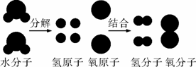 下图是电解水的微观模型示意图,从中获得的信息错误的是( ).