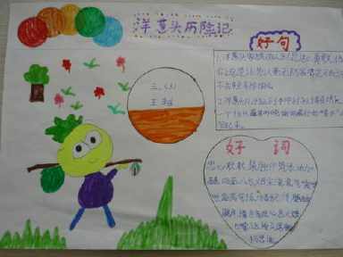 洋葱生长日记手抄报 数学日记手抄报