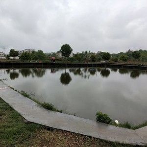 三江富新钓场