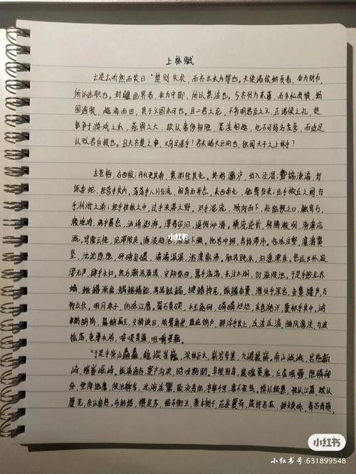 一生一世美人骨92抄写《上林赋》_宜家怎么样_玫珂菲怎么样_一生