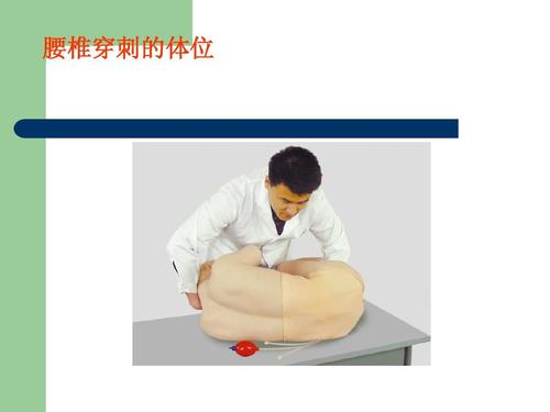 腰椎穿刺的体位