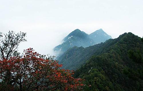 万花山