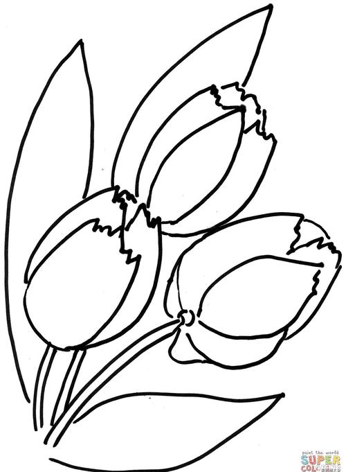 花朵简笔画 郁金香简笔画大全_植物简笔画_简笔画大全