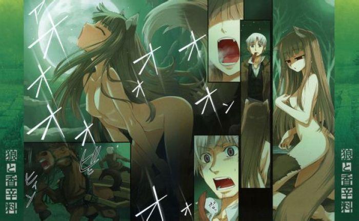 狼与香辛料-赫萝