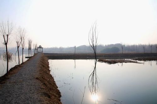 邳州这两个村上榜!