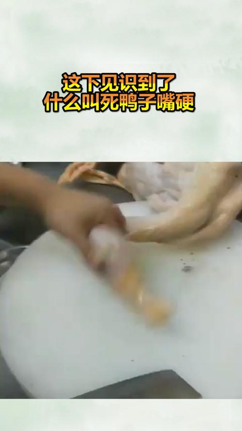 我要上热门这下见识到了什么叫死鸭子嘴硬
