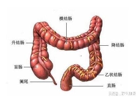 慢性溃疡性结肠炎是不是无法治愈呢该如何缓解