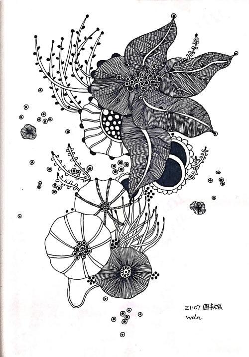 禅绕画线描装饰画手绘插画