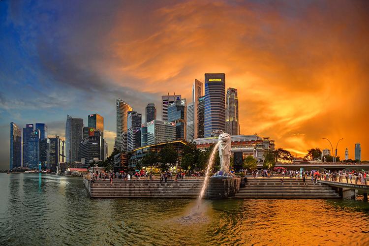 新加坡,房屋,公园,喷泉,日出和日落,merlion park,楼梯,建筑物,城市